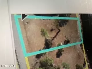 280 S Horsepen Dr, Harrells, NC 28444