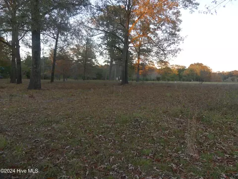 16772 Nc Highway 210, Ivanhoe, NC 28447 photo 8