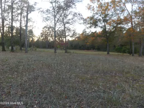 16772 Nc Highway 210, Ivanhoe, NC 28447 photo 4