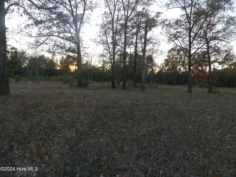 16772 Nc Highway 210, Ivanhoe, NC 28447 photo 5