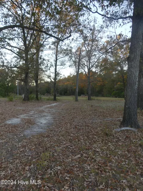 16772 Nc Highway 210, Ivanhoe, NC 28447 photo 3
