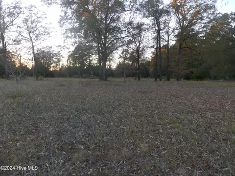 16772 Nc Highway 210, Ivanhoe, NC 28447 photo 7