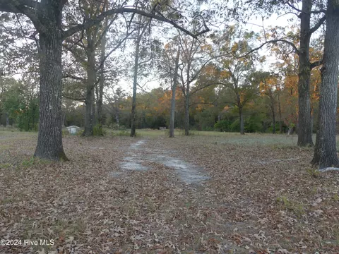 16772 Nc Highway 210, Ivanhoe, NC 28447 photo 2