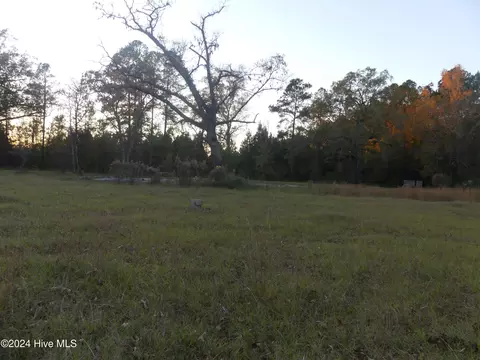 16772 Nc Highway 210, Ivanhoe, NC 28447 photo 6