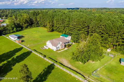 View/Area - 94 Old Mill Rd, Willard, NC 28478 photo 7 of 9