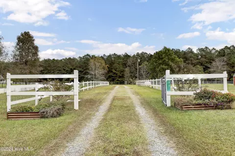 Other - 94 Old Mill Rd, Willard, NC 28478 photo 24 of 26