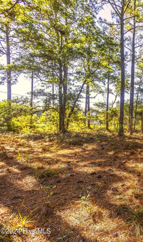 2563 Erwin St SW, Supply, NC 28462 photo 4