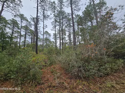 lot54 3rd Rd, Boiling Spring Lakes, NC 28461 photo 9