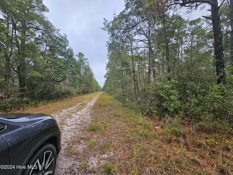 lot54 3rd Rd, Boiling Spring Lakes, NC 28461 photo 8