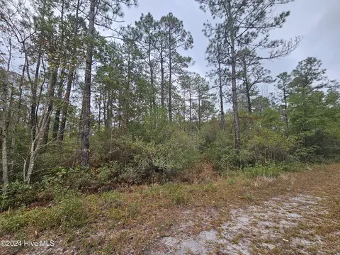 lot54 3rd Rd, Boiling Spring Lakes, NC 28461 photo 5