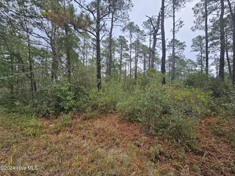 lot54 3rd Rd, Boiling Spring Lakes, NC 28461