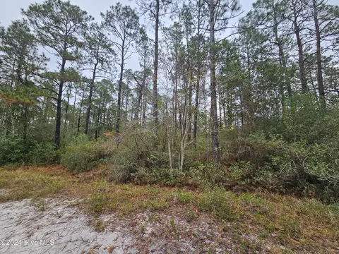lot54 3rd Rd, Boiling Spring Lakes, NC 28461 photo 10