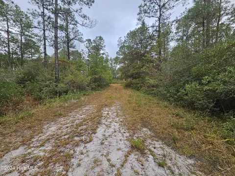 lot54 3rd Rd, Boiling Spring Lakes, NC 28461 photo 3