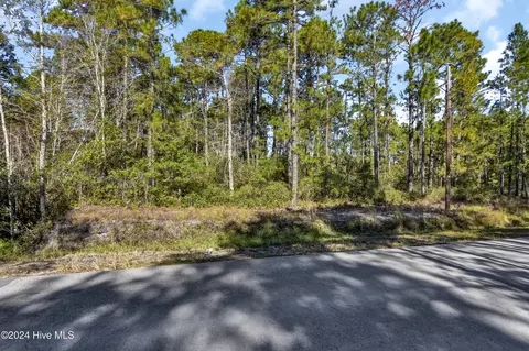 1591 Juniper Rd, Boiling Spring Lakes, NC 28461 photo 14