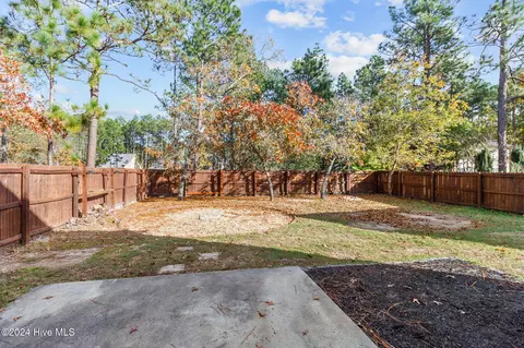 Exterior - 729 Thrush Dr, Vass, NC 28394 photo 6 of 7