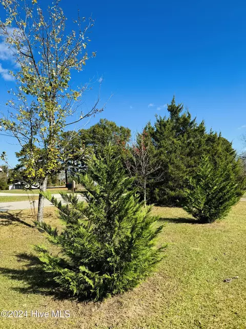 Other - 5749 Stott St, Bailey, NC 27807 photo 21 of 24