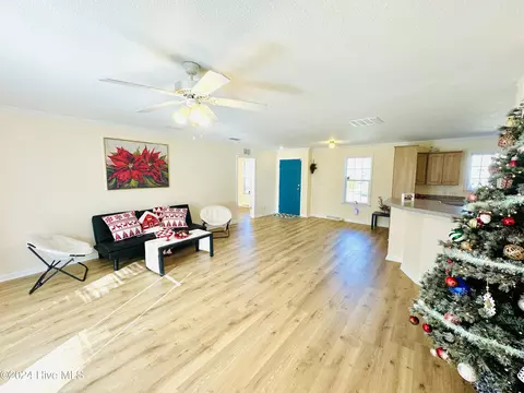 Living - 5749 Stott St, Bailey, NC 27807 photo 4 of 10