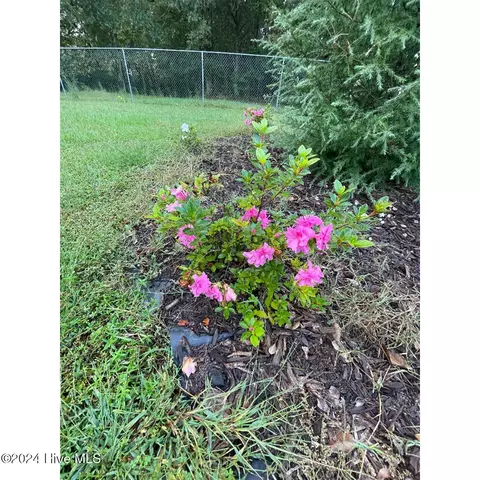 Exterior - 5749 Stott St, Bailey, NC 27807 photo 15 of 16