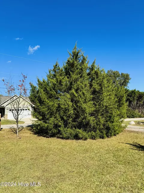 Exterior - 5749 Stott St, Bailey, NC 27807 photo 13 of 16