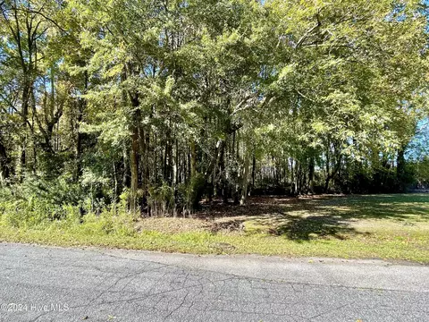 1239 Chance Blvd, Robersonville, NC 27871