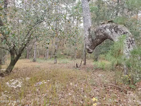 lot98 Waters Edge Dr, Chocowinity, NC 27817