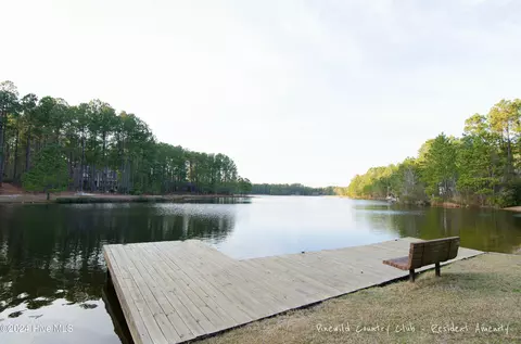 17 Barons Dr, Pinehurst, NC 28374 photo 65