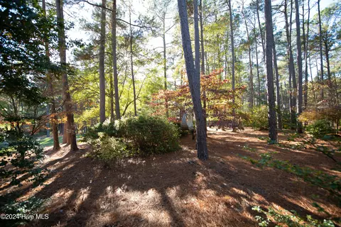 17 Barons Dr, Pinehurst, NC 28374 photo 57