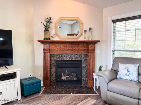 Other - 107 Bristle Cone Ct, Hampstead, NC 28443 photo 11 of 19