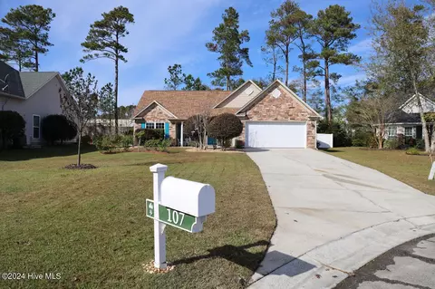 Other - 107 Bristle Cone Ct, Hampstead, NC 28443 photo 5 of 19