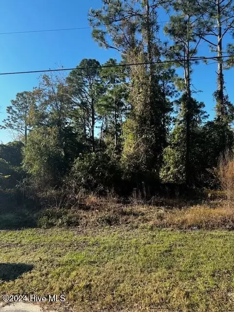 121 Sycamore Rd, Southport, NC 28461