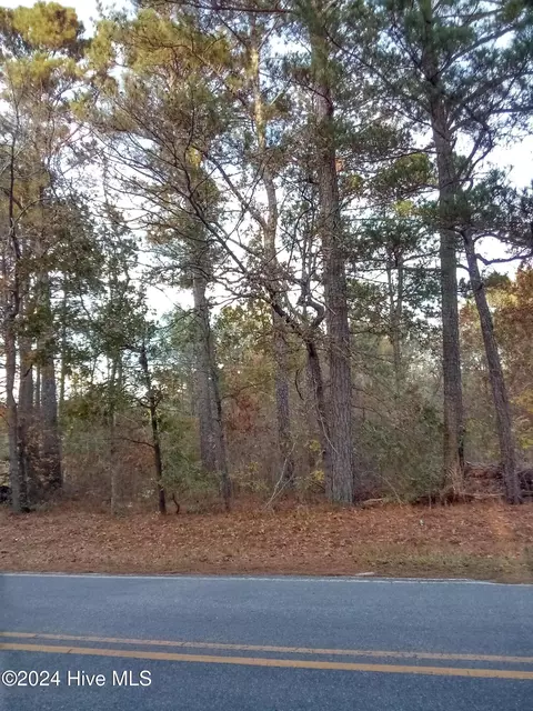 lot Apt 1 Stelleys Tabernacle Church Rd, Rockingham, NC 28379