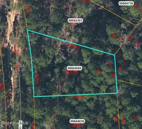 tbd Wild Cherry Dr, Vass, NC 28394
