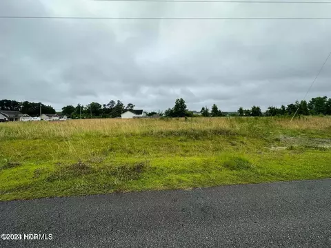 111 Adams Landing Way, Maysville, NC 28555