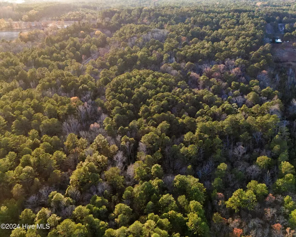  lot2 Mcgill Rd, Vass, NC 28394 photo 5