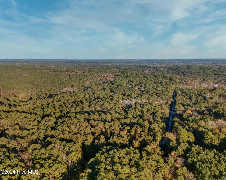 lot2 Mcgill Rd, Vass, NC 28394 photo 7