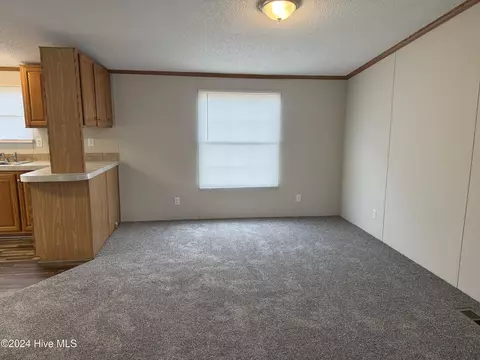 841 Mckoy Loop Rd, Ivanhoe, NC 28447 photo 8