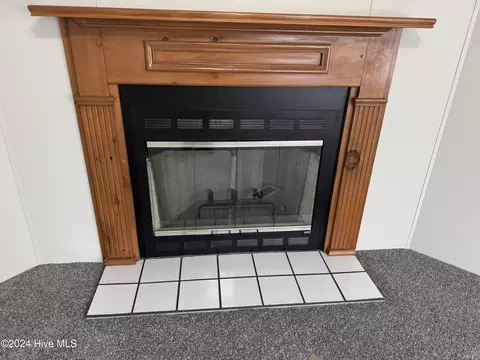 841 Mckoy Loop Rd, Ivanhoe, NC 28447 photo 18