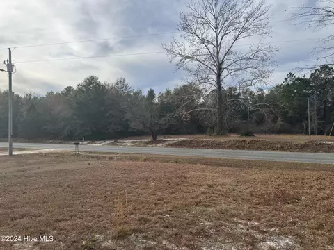 841 Mckoy Loop Rd, Ivanhoe, NC 28447 photo 2