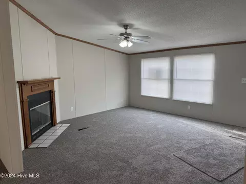 841 Mckoy Loop Rd, Ivanhoe, NC 28447 photo 7