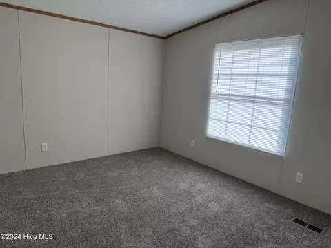 841 Mckoy Loop Rd, Ivanhoe, NC 28447 photo 15