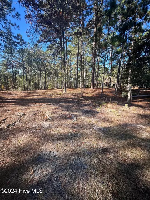 185 Bel Air Dr, Pinehurst, NC 28374