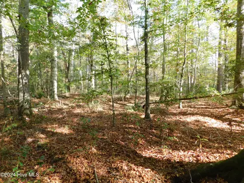 00 Garrington Island Rd, Shiloh, NC 27974