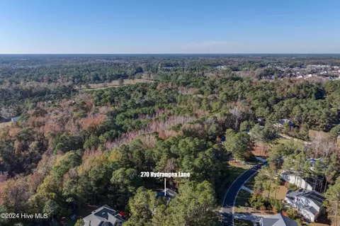 View/Area - 270 Hydrangea Ln, Hampstead, NC 28443 photo 3 of 4