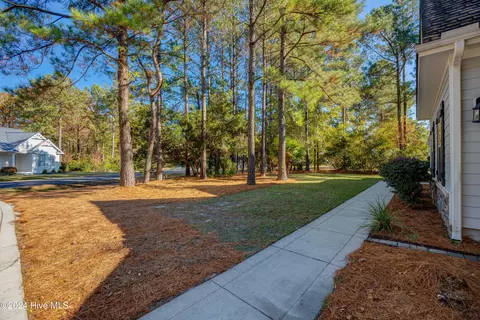 Other - 270 Hydrangea Ln, Hampstead, NC 28443 photo 18 of 20