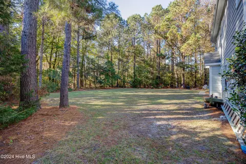 Exterior - 270 Hydrangea Ln, Hampstead, NC 28443 photo 11 of 17