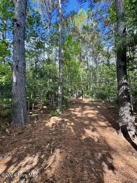 Other - 270 Hydrangea Ln, Hampstead, NC 28443 photo 13 of 20