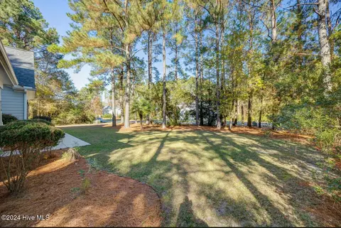 Exterior - 270 Hydrangea Ln, Hampstead, NC 28443 photo 9 of 17