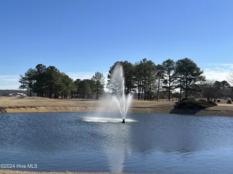 727 Bald Eagle Dr, Vass, NC 28394 photo 7