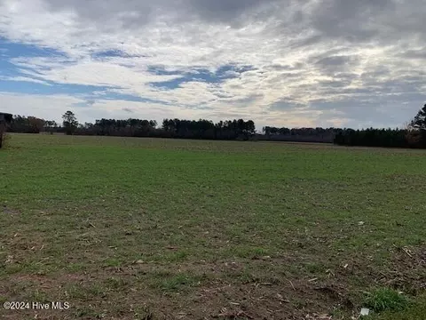 1743 Hinsons Xrds, Fair Bluff, NC 28439
