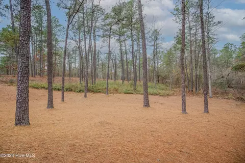 54 Kilbride Dr, Pinehurst, NC 28374 photo 47